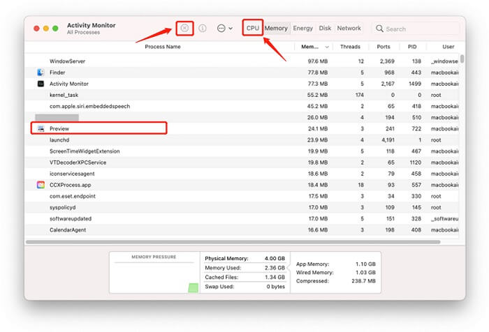 Force Quit Apps Activity Monitor | force quit is not working on Mac