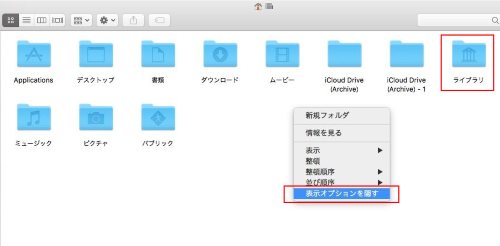 表示オプション