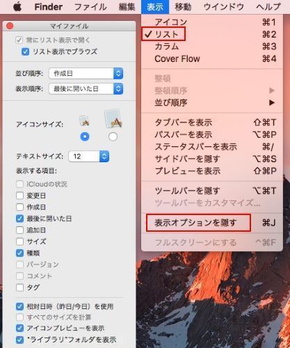 表示オプションを表示