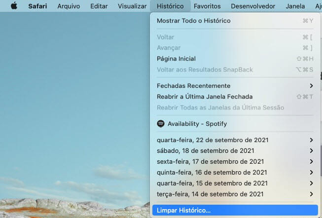 histórico safari