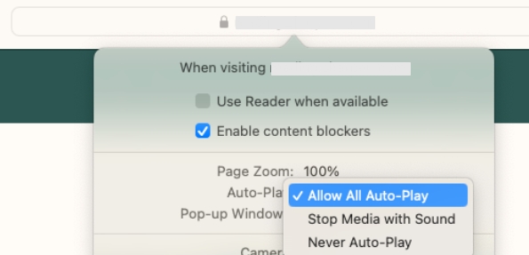 check Allow All Auto-Play | Can't Watch Netflix Mac