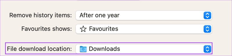 Verifique as pastas de download padrão | Macbook não baixa arquivos