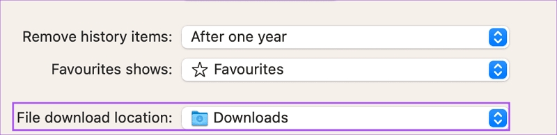 Überprüfen Sie die Standard-Download-Ordner | MacBook lädt keine Dateien herunter