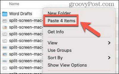 contextual menu | copy cut paste on Mac
