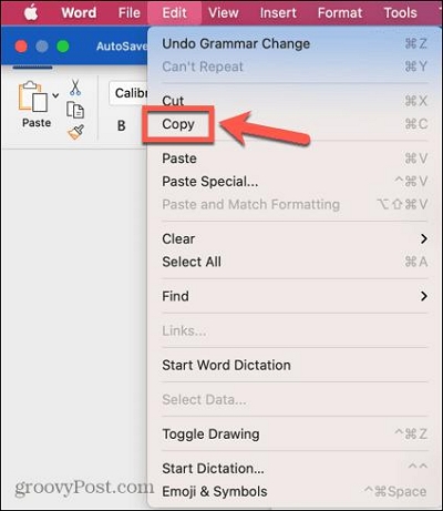 From the dropdown menu | how to copy cut paste on Mac
