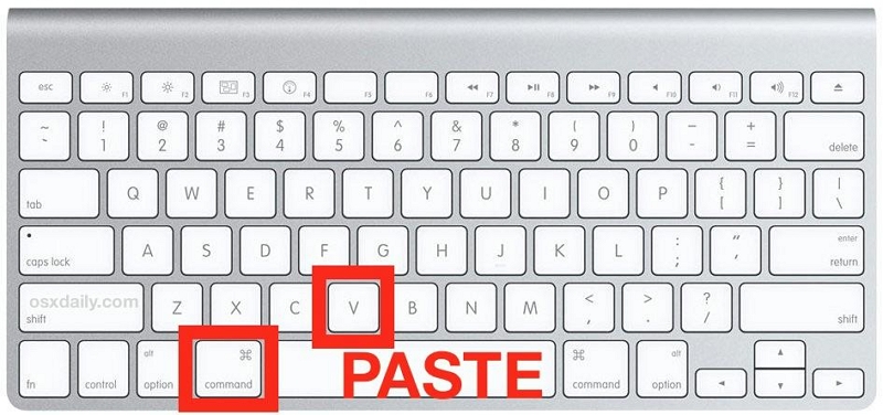 Paste the Copied Item | copy cut paste on Mac