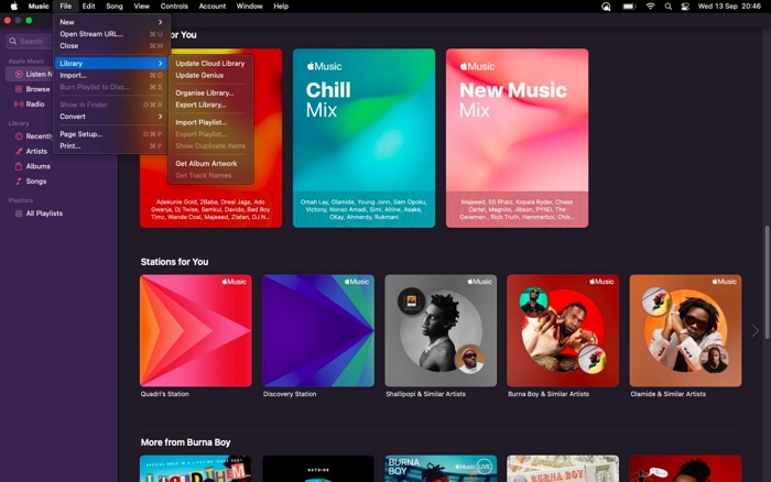 eliminar música duplicada en Apple Music paso 2 |  buscar/eliminar archivos de música duplicados mac/windows