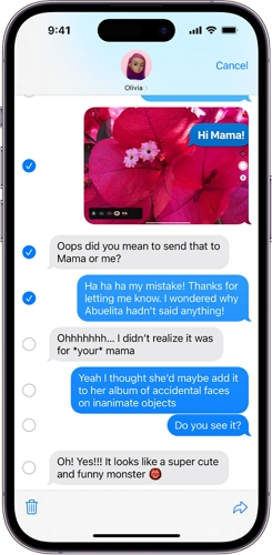 メッセージの添付ファイルを削除する iPhone | Mac の iCloud ストレージを解放する