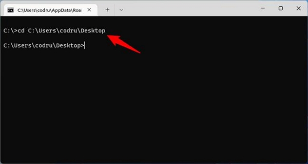 Search for Terminal | Deleting Directories in Terminal