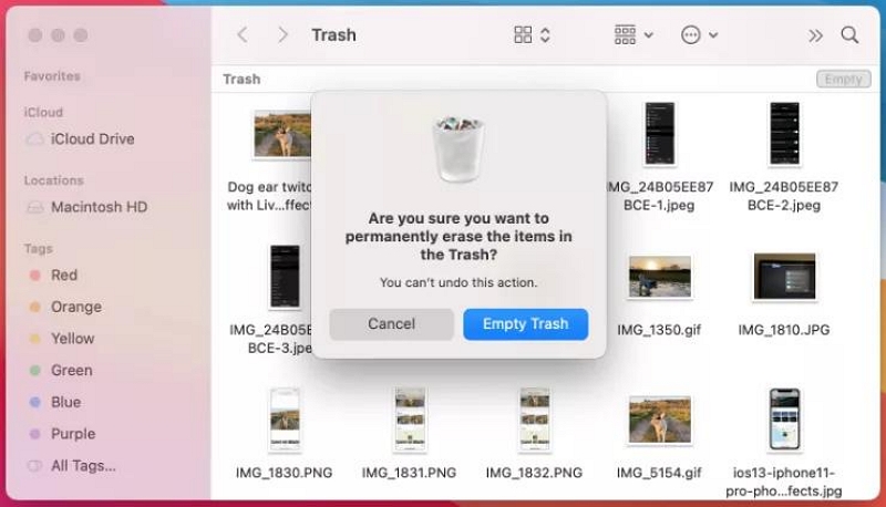 Empty Trash Bin on Mac Manually 2 | delete junk files Mac
