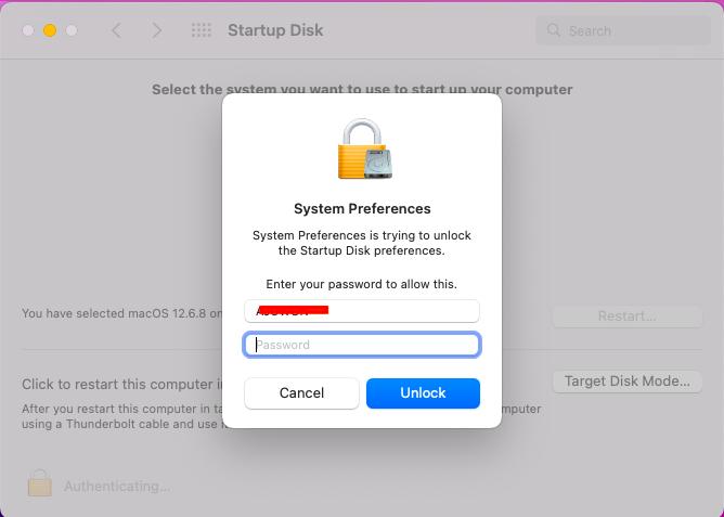 enter login password | No Startup Disk on Mac