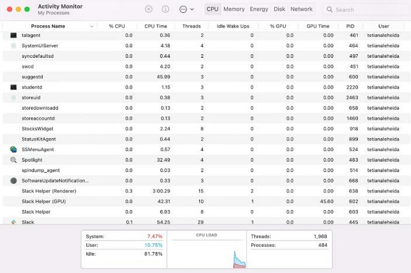 Mac-Task-Manager | Öffnen Sie „Mac Task-Manager verwenden“.