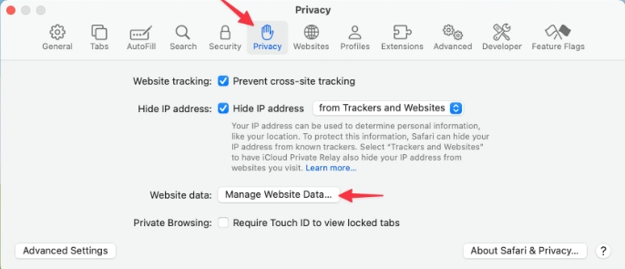click Manage Website Data | Can't Watch Netflix Mac