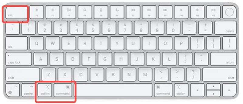 Принудительное завершение | сбой в сафари на Mac