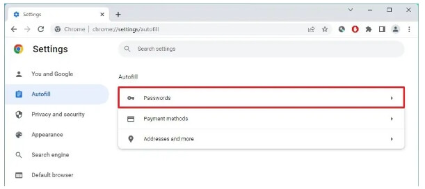 remove specific autofill password chrome step 1 | Delete Autofill in Chrome on Mac