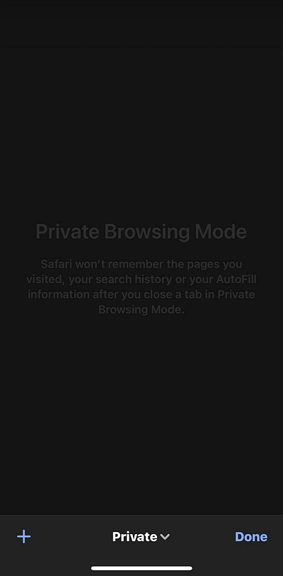 Aktivieren Sie den privaten Browsermodus | Beschleunigen Sie Downloads auf dem Mac