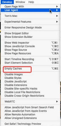 выберите «Пустые кеши» | исправить сбой Safari на Mac