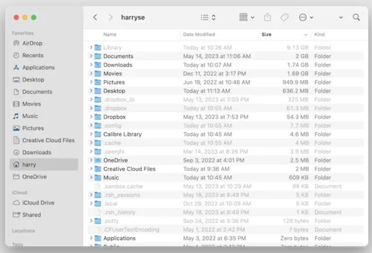 show hidden files mac | Find and Delete Large files on Mac