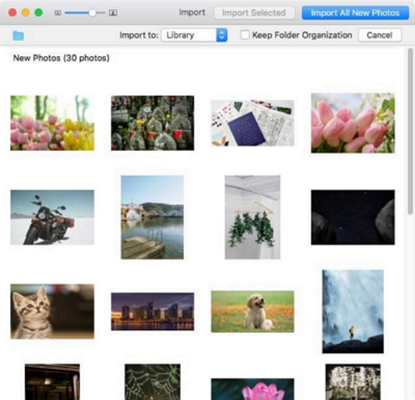 import all new photos | Merge Photo Libraries